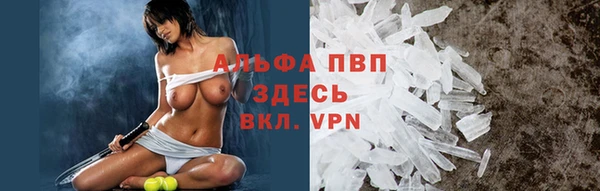 ECSTASY Костерёво