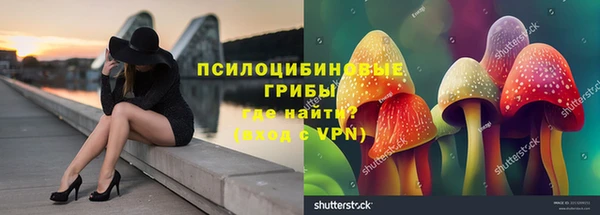 ECSTASY Коряжма