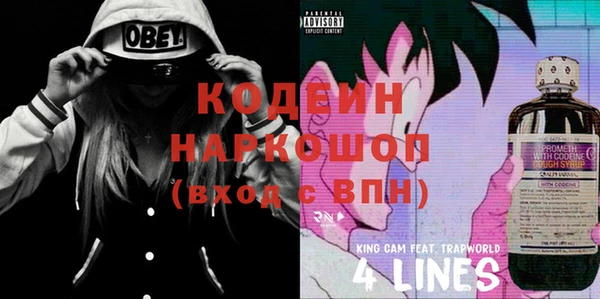 мет Корсаков