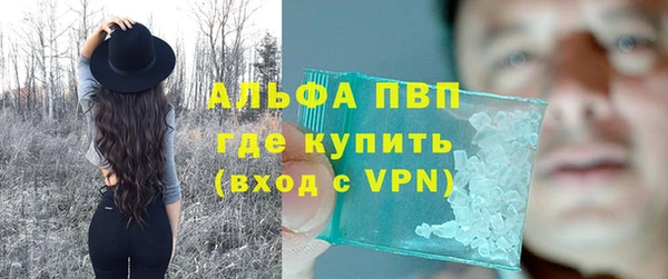 ECSTASY Костерёво