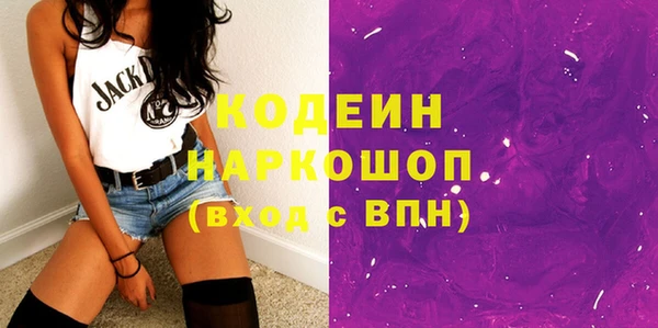 мет Корсаков