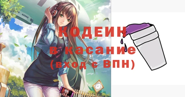 мет Корсаков