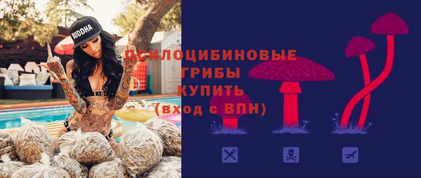 мет Корсаков