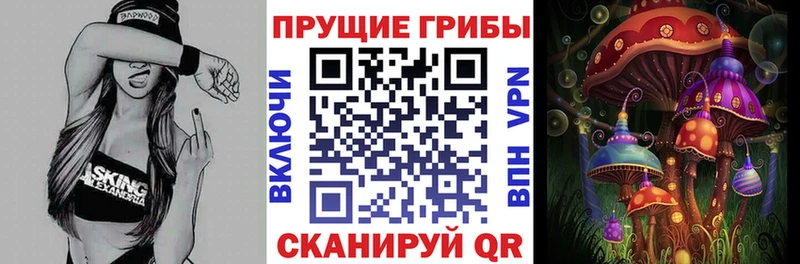 Купить где  Асино  Галлюциногенные грибы MAGIC MUSHROOMS 